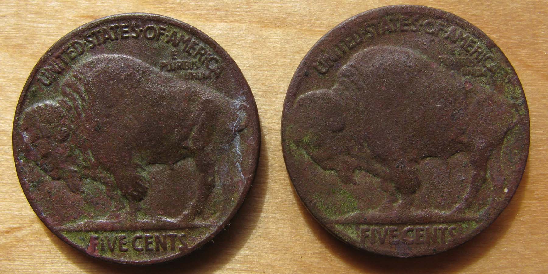 Buffalos-From-The-Hillside